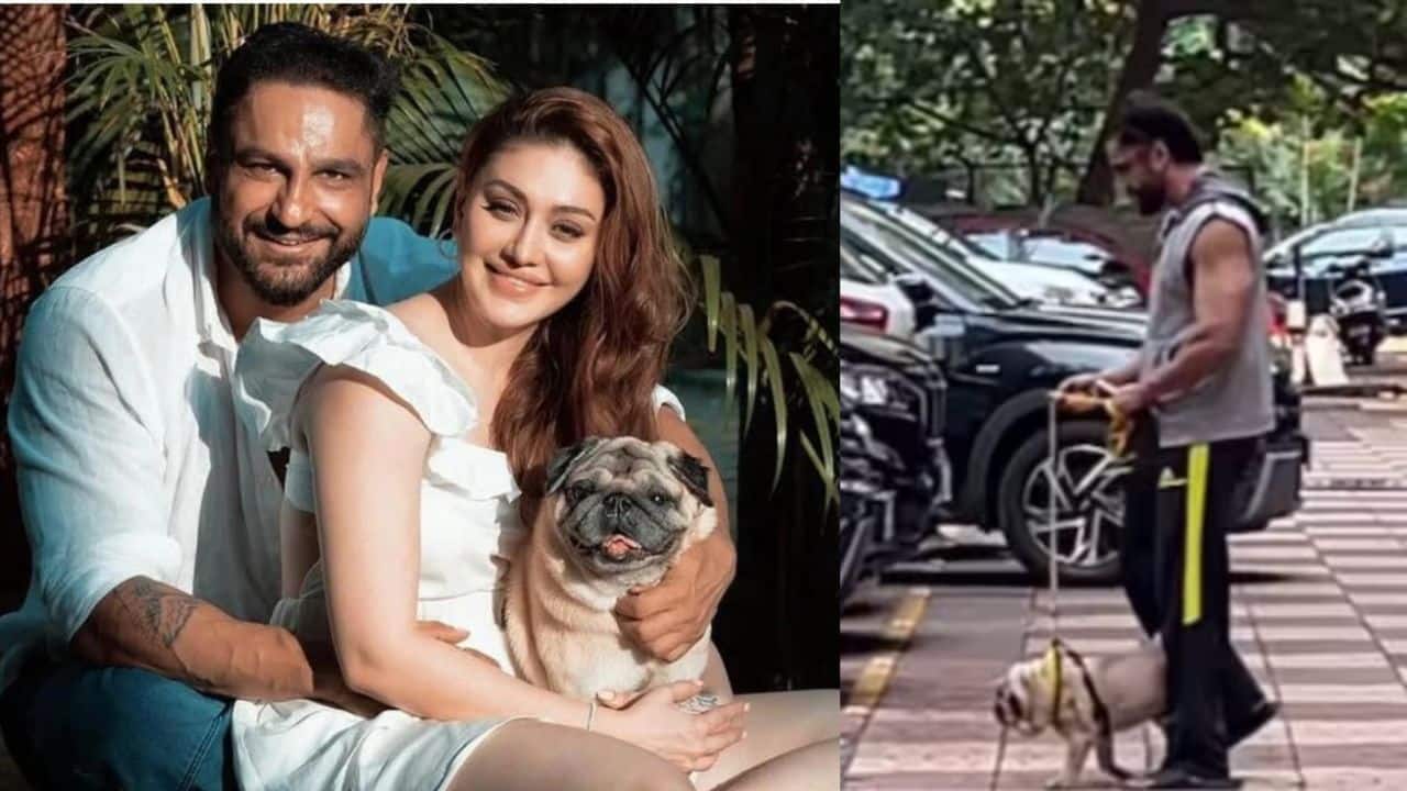 Paras Chhabra defends​ amidst backlash following Shefali Jariwala’s death, says 'You should understand his mental state...'