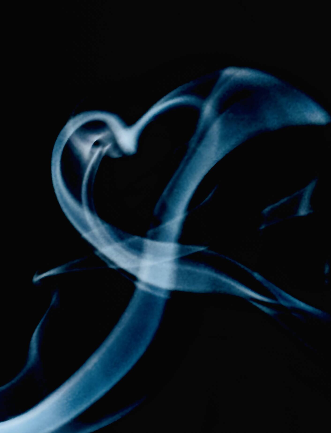 The smoky heart