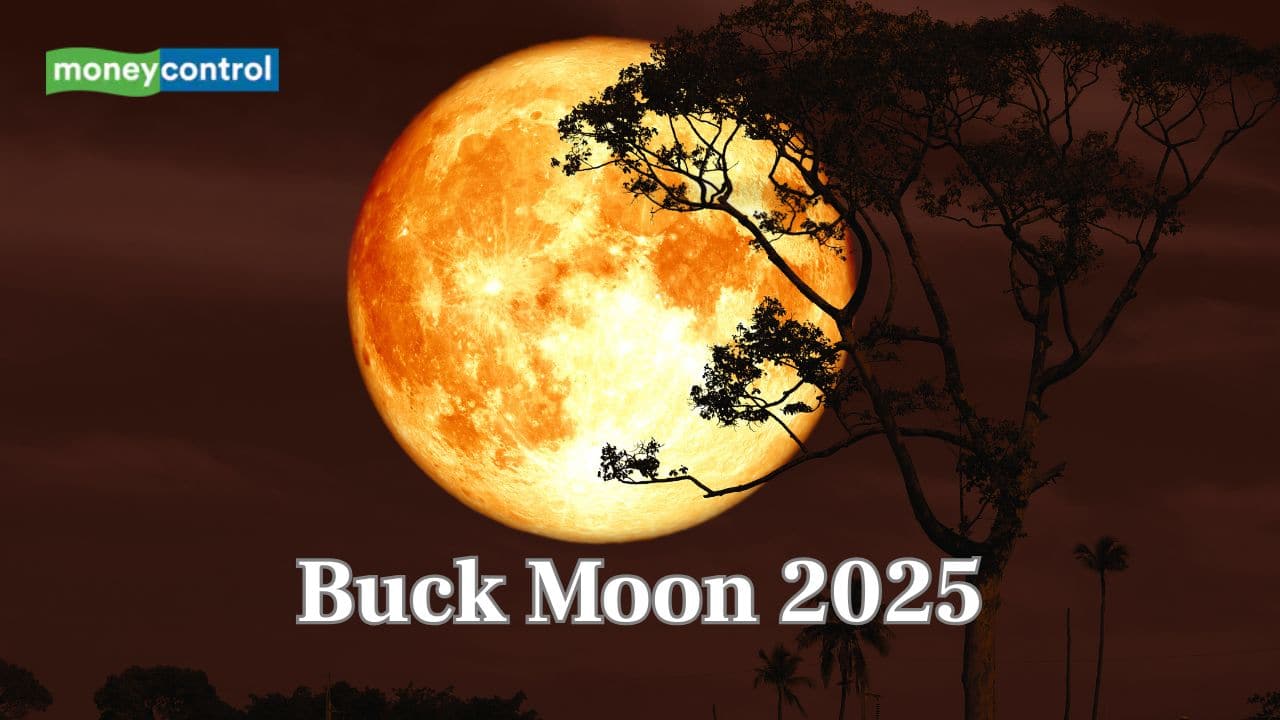 Buck Moon 2025 date and time: When, where and how to see July Full Moon?