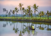 ’Kerala Felt Safe for Me’: Solo Female Traveller Praises Clean Villages, Friendly Locals, and Diverse Culture