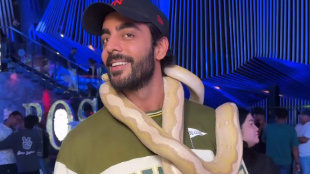 Jhanak actor Krushal Ahuja stuns people as he wraps a real snake around his neck, watch