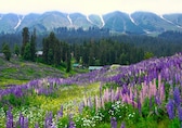 Jammu and Kashmir reopens 12 more tourist destinations after five-month closure