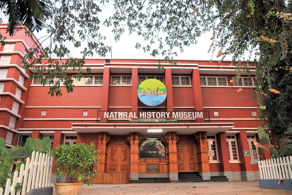 In a first, Kerala museum to offer multilingual digital guide