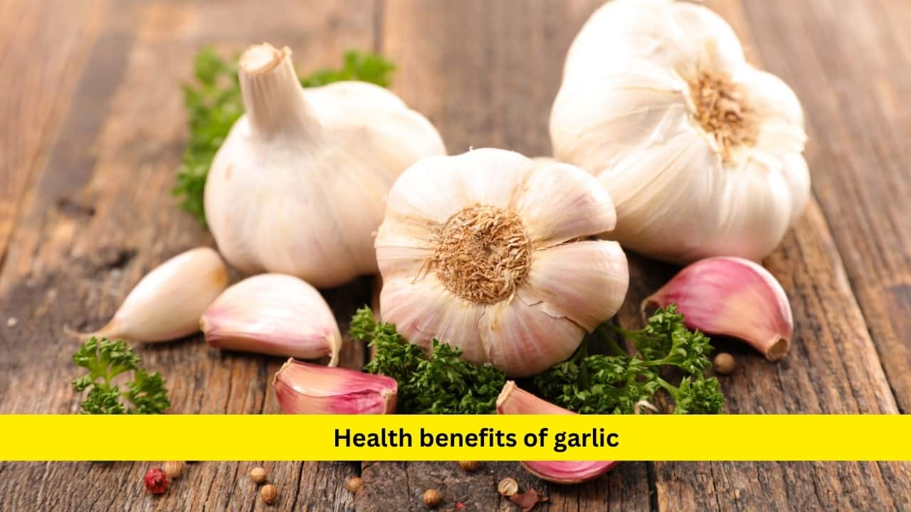 Health benefits of garlic Garlic is packed with prebiotics like inulin, which fuel your friendly gut bacteria. It helps balance your gut microbiome, supports immune function, and may even reduce inflammation. Eating both raw and cooked garlic can benefit digestion, making it an easy addition to sauces, dressings, soups, and even roasted veggie dishes.