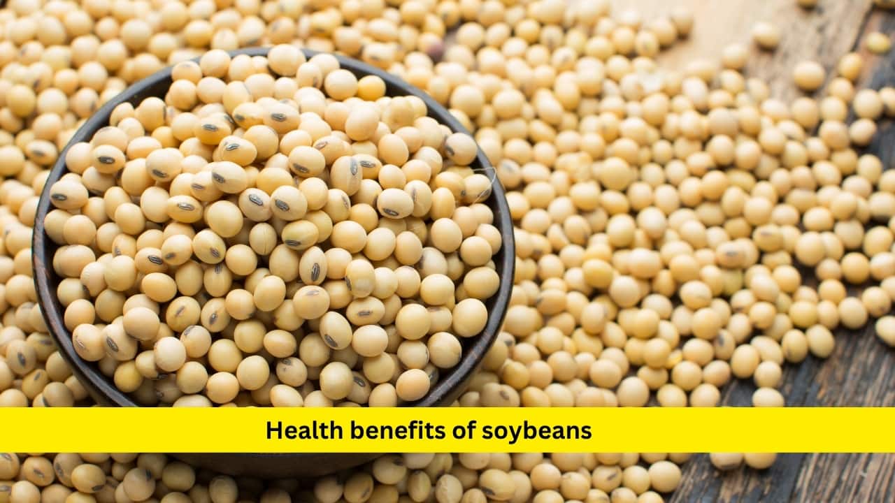 Health benefits of soybeans Soybeans and their products, like tofu, tempeh, and miso, are full of resistant starch and other prebiotic fibres. These compounds help feed beneficial bacteria and may also lower bad cholesterol levels. Fermented versions offer even more gut benefits. Adding soybeans to stir-fries, salads, or even soups can improve digestion, immunity, and possibly even support better weight goals.