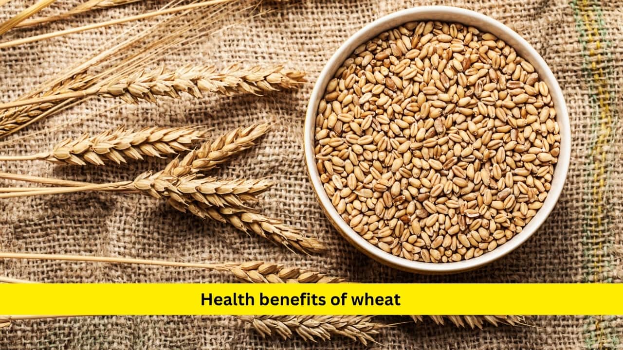 Health benefits of wheat Wheat and whole-grain products, including breads, cereals, and pastas, are rich in prebiotic fibres such as resistant starch and beta-glucan. These fibres feed gut bacteria, supporting smoother digestion and better blood sugar regulation. Whole grains also help with longer-lasting energy throughout the day. Switching to whole-grain options instead of refined grains can boost your digestive wellbeing.