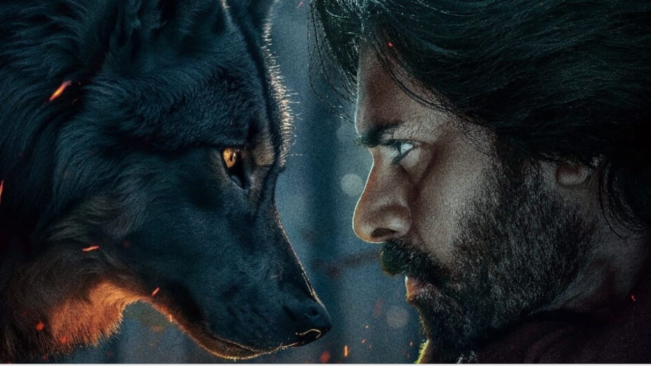 A Monumental-Scale Grand Production Known for supporting massive blockbusters, producer A.M. Rathnam has spared no cost on the scope and spectacle of this masterpiece. The trailer's enormous success has led to a spike in demand, even though the distribution rights were initially not sold (apart from overseas and Hindi). Convinced of the film's enormous commercial potential, distributors are now lining up to purchase the rights at record prices. Rathnam and his production company, Mega Surya Productions, have created a visual feast with a reportedly astronomical budget.