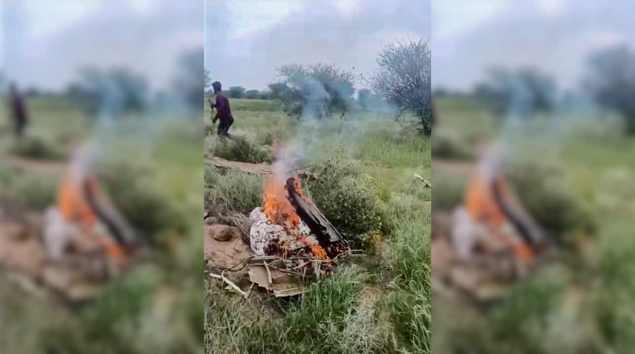 A Jaguar aircraft of the IAF crashed in Rajasthan's Churu district on Wednesday, official sources confirmed news agency PTI. (Image: PTI)
