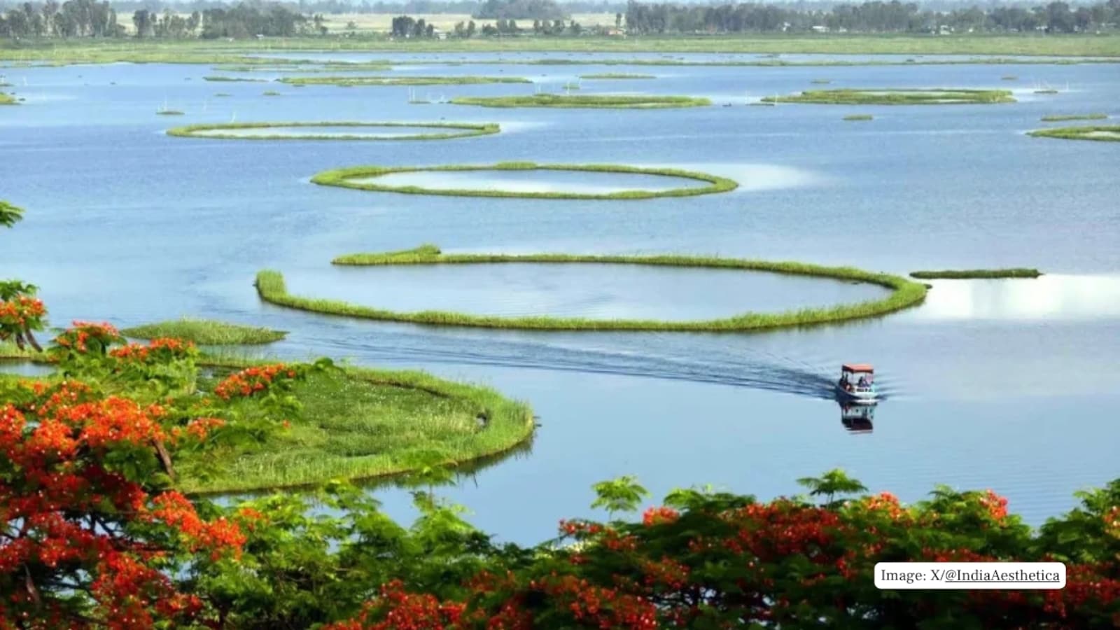 The Only Floating National Park on Earth Is in India — And It’s Breathtaking