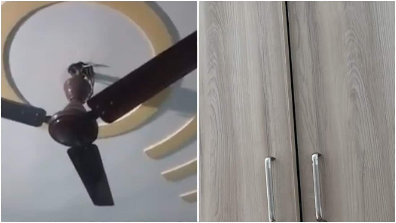 ‘My wardrobe door opened’: Netizens react to earthquake in Delhi with videos, memes
