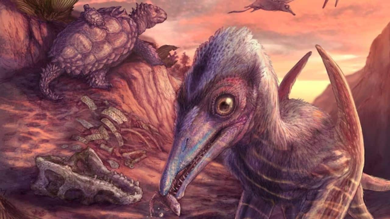 New flying reptile fossil found in Arizona dates back 209 million years