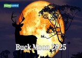 Buck Moon 2025 in the sky today: Where and how to see July full Moon and why is it called Buck Moon