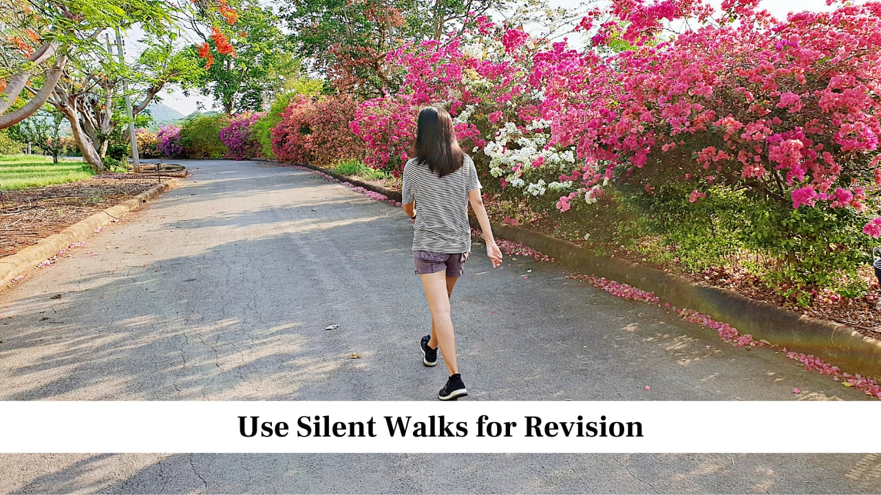 Use Silent Walks for Revision
