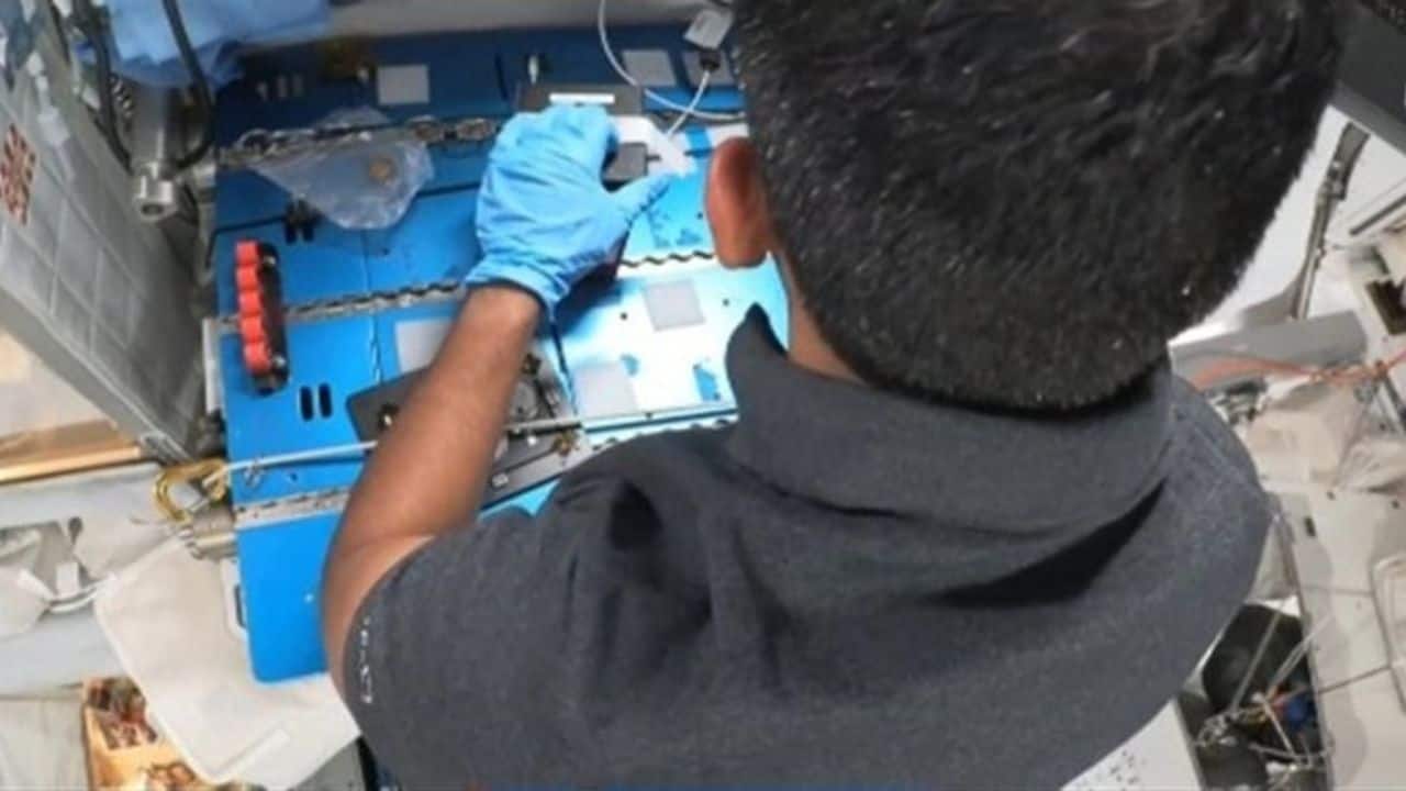 Science operations: Ax-4 Pilot Shubhanshu Shukla carries out operations for the myogenesis study in the Life Sciences Glovebox aboard the International Space Station. (Image: Axiom Space)