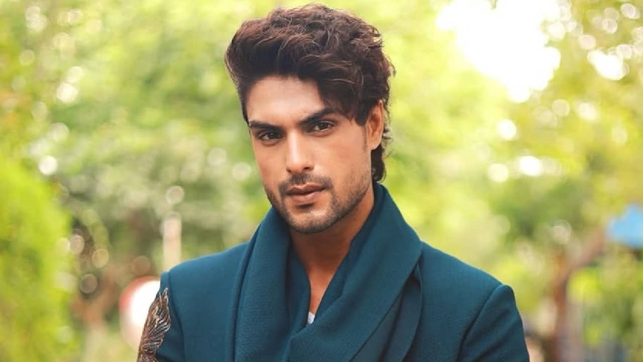 Ankit Gupta sheds light on the real reason behind signing Bigg Boss 16; says, 'I was sent there...'