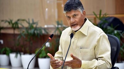 Andhra Pradesh CM Chandrababu Naidu (File image)