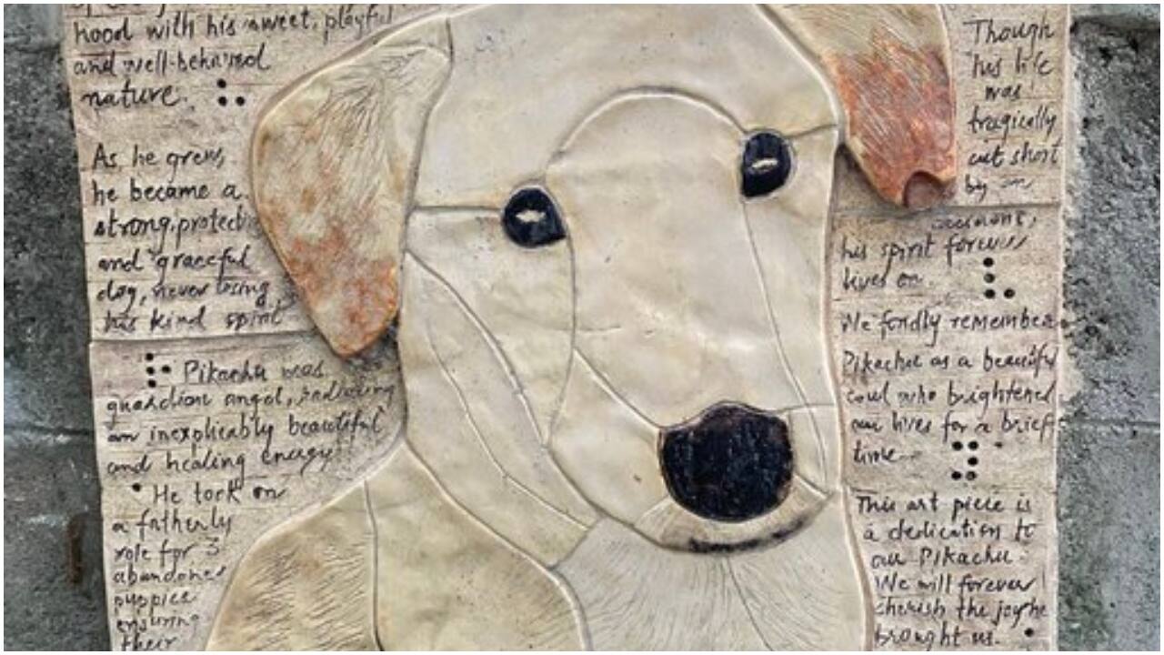Bengaluru society pays tribute to stray dog Pikachu with heartfelt mural. Internet loves it