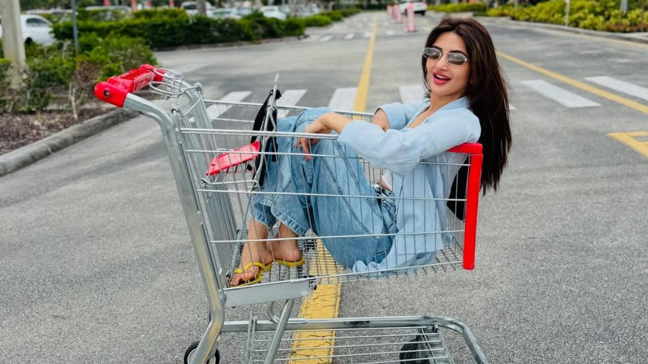 Sreeleela poses in a supermarket trolley for a fun photoshoot in Florida, see here