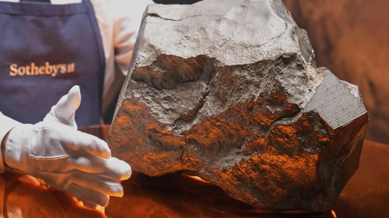 Largest Mars rock on sale! Sotheby's New York puts rare Martian meteorite up for auction