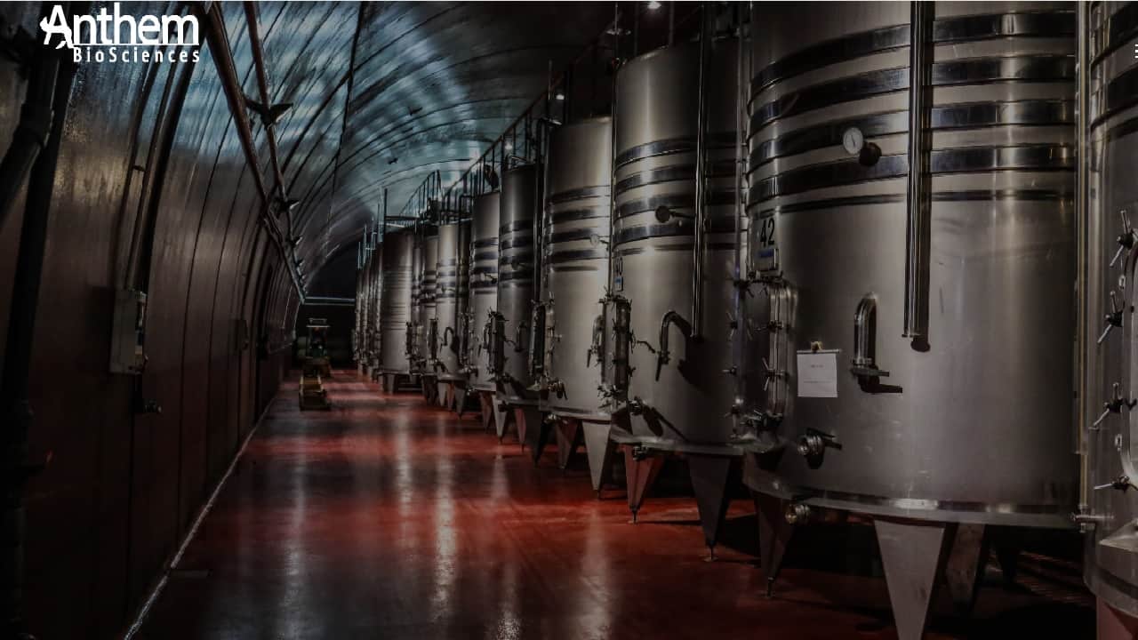 Anthem Biosciences shares jump up to 4% after Nomura's 'Buy' rating; newly-listed stock up 14% from IPO price