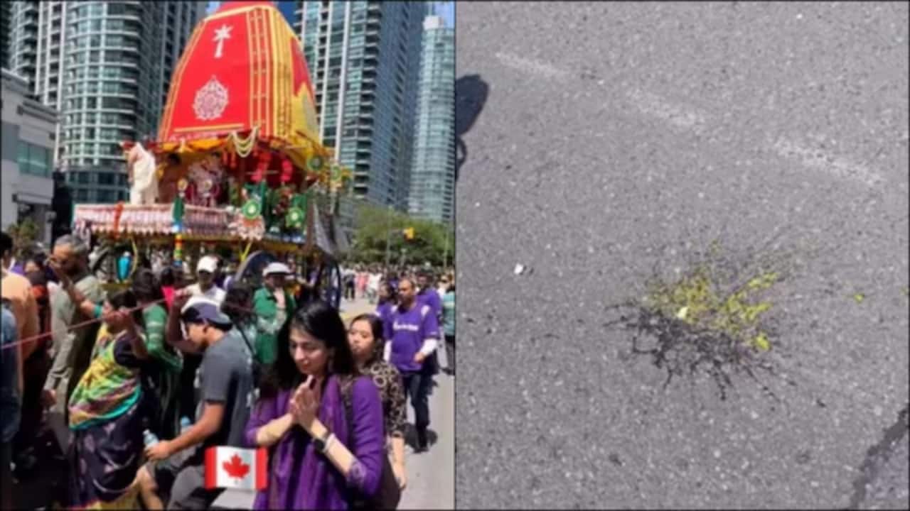 Eggs hurled at Rath Yatra devotees in Toronto: Naveen Patnaik says 'deeply disturbed'