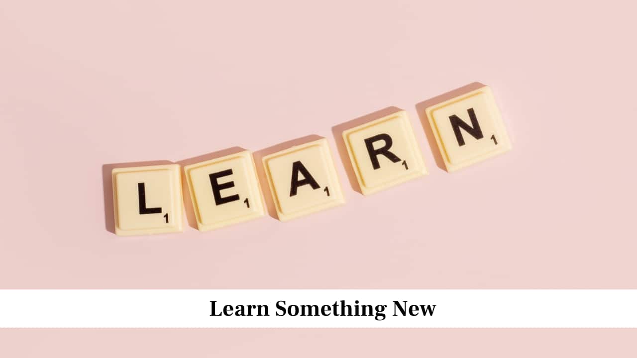 Learn Something New