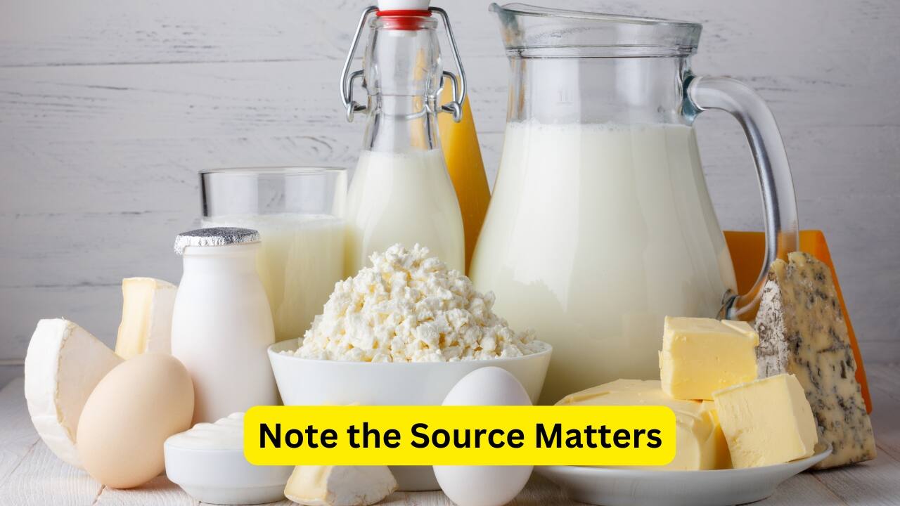 Health Risks of High-Protein Diets (Image: Canva)