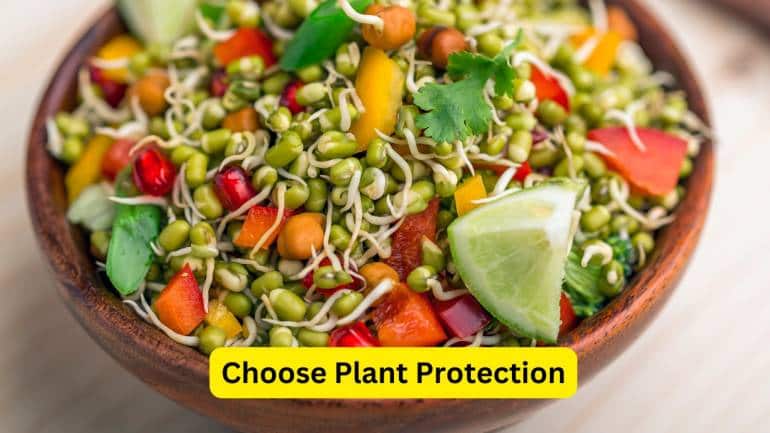 Health Risks of High-Protein Diets (Image: Canva) 