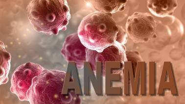 Could It Be Anaemia? This condition causes a reduction in the ability of the red blood cells’ haemoglobin to carry oxygen. A number of reasons, like iron deficiency, vitamin B12 deficiency, malaria, hookworm infestation, etc., are responsible for the development of anaemia. To restore the oxygen-carrying capacity of the red blood cells, it is crucial to remedy the underlying cause of anaemia.
