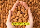 Health benefits of almonds: 10 ways this superfood helps your heart, metabolism, blood sugar levels