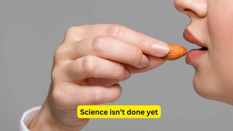 Health benefits of almonds (Image: Canva)