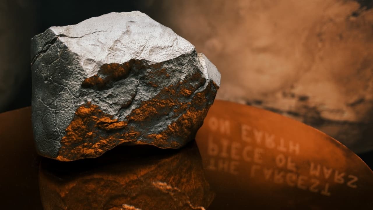 'Most valuable' Martian meteorite sells for over $5 million at New York auction, sets new record