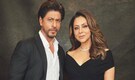 When Shah Rukh Khan revealed he would leave Bollywood if asked to choose between wife Gauri Khan and acting, said, "I love her body, she is the only..."