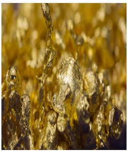 Gold steady as traders weigh US economy, rate cut directions