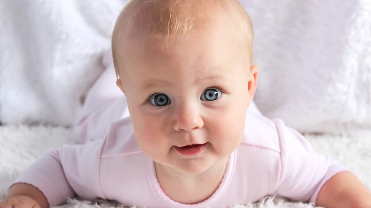 Role of Hydrocephalus in Predisposing to Breech Some babies may develop hydrocephalus, a condition in this the intracranial pressure of the foetus is elevated, causing an increase in the size of the head. Since a big head can be easily accommodated in the fundus (the upper part of the uterus) the baby favours the breech presentation for ease. 