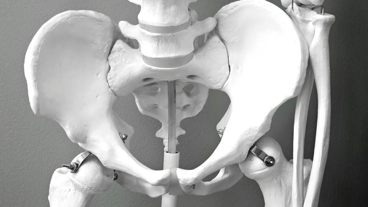 Impact of Maternal Pelvic Size on Fetal Position A smaller or a contracted pelvis may not be able to fit the head of the baby. While the head is normal sized in this scenario, the pelvis is not large enough for the passage, hence the foetus turns and brings its buttocks towards the pelvis and the head near the fundus.
