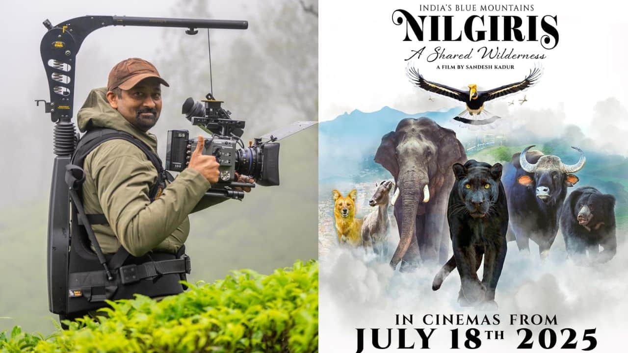 Sandesh Kadur on Nilgiris: A Shared Wilderness: This is an educational documentary disguised as entertainment...|Exclusive 