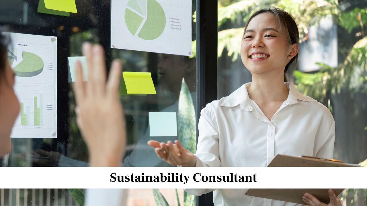 Sustainability Consultant