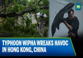 Typhoon Wipha Hits Hong Kong, South China; Rain, Wind And Chaos All Over | N18G