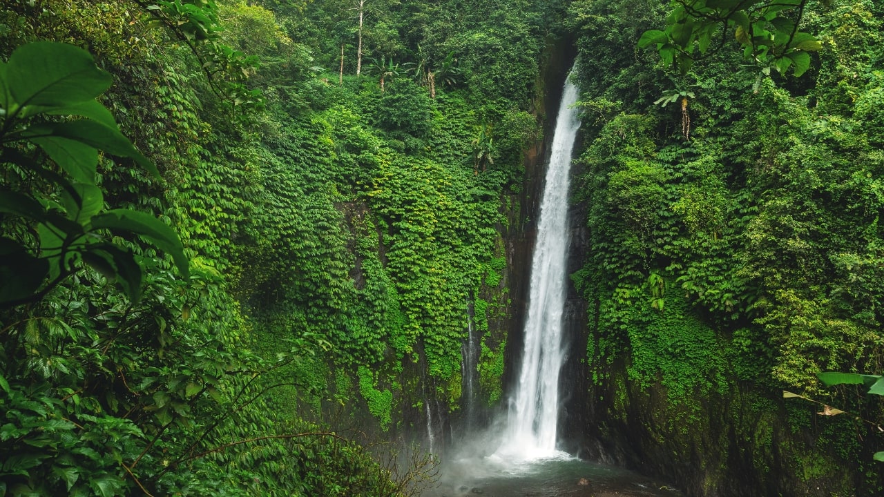 5. Munduk: Bali’s Misty Mountain Escape Set high in Bali’s northern highlands, Munduk is a tranquil village surrounded by coffee plantations, waterfalls, and dense forests. Cooler temperatures and misty mornings create a refreshing contrast to the island’s coast, inviting visitors to explore hiking trails and traditional villages far from the tourist bustle. Why it’s special: A peaceful retreat for nature lovers and trekkers seeking unspoiled landscapes and authentic local culture. (Image: Canva)