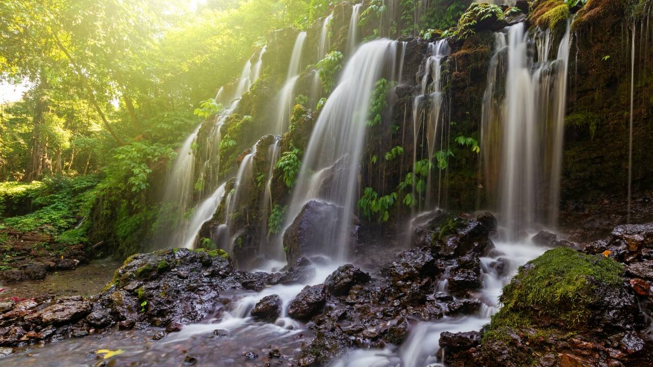 7. Banyu Wana Amertha Waterfall: A Hidden Natural Wonder Tucked away in the lush hills of Buleleng, this collection of waterfalls is lesser-known but absolutely spectacular. Multiple falls cascade through the jungle, offering secluded swimming spots and stunning photo opportunities. A short trek through flower farms and coffee plantations adds charm to the journey. Pro tip: Wear water shoes and bring a picnic for a truly immersive nature escape. (Image: Canva)