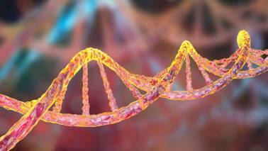 The Influence of Family History and Genes  Genetic predisposition and familial factors are important factors of the cause of stomach cancer. People with blood group A are more likely to develop this malignancy. Mutations in certain genes like APC gene, E-cadherin gene, also playa role. If a first degree relative, like the father, mother or sibling have stomach cancer, one is likely three to six times more likely to be affected with this cancer.