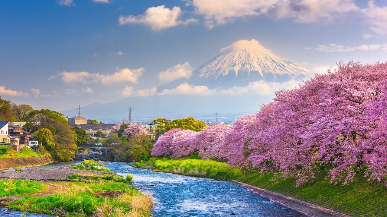 Japan Tops Global Leisure Travel Wishlists for 2025—A Perfect Blend of Tradition, Innovation, and Timeless Appeal