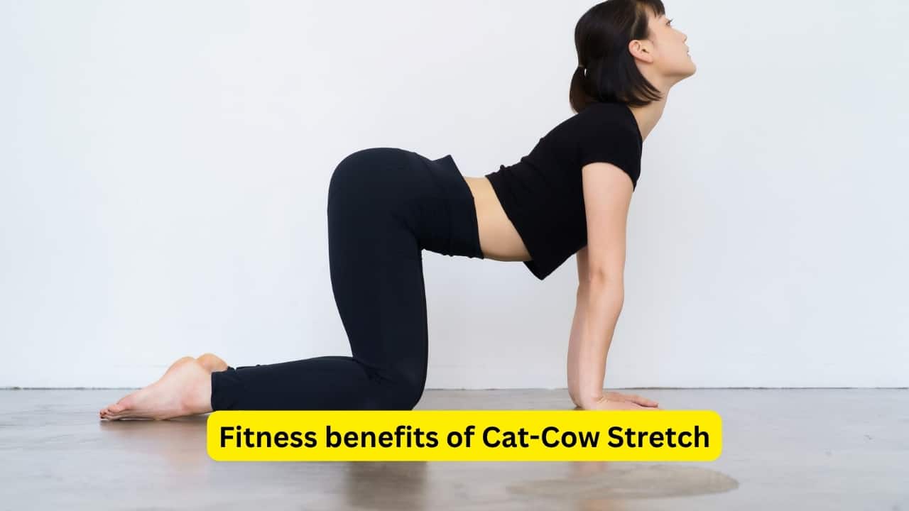 Best yoga pose: Marjaryasana-Bitilasana (Cat-Cow Stretch)