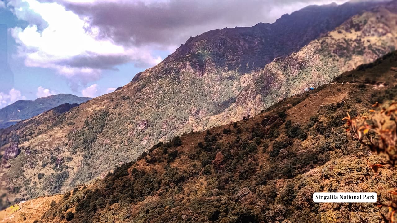 Singalila National Park, Wes Bengal (Image: Canva)