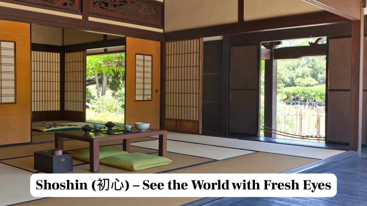 Shoshin (初心) – See the World with Fresh Eyes Shoshin (初心) – See the World with Fresh Eyes