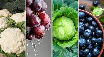 Healthy diet plan: From cauliflower to blueberries and more, include these in your daily diet to improve kidney function (Images: Canva)