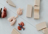 When the kidneys fail slowly: Understanding chronic kidney disease