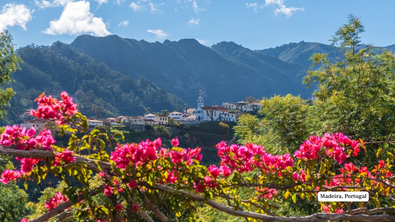 8. Madeira, Portugal Madeira enchants with its contrasts—tropical gardens in riotous bloom, terraced vineyards, and cliffside villages that glow in earthy pastels. The island capital, Funchal, bursts with colour during its famed flower festival, offering endless visual inspiration for travellers. (Image: Canva)