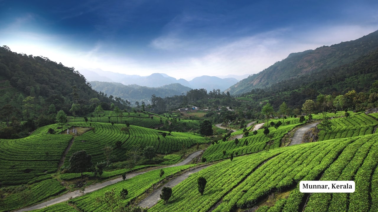 Munnar, Kerala (Image: Canva)